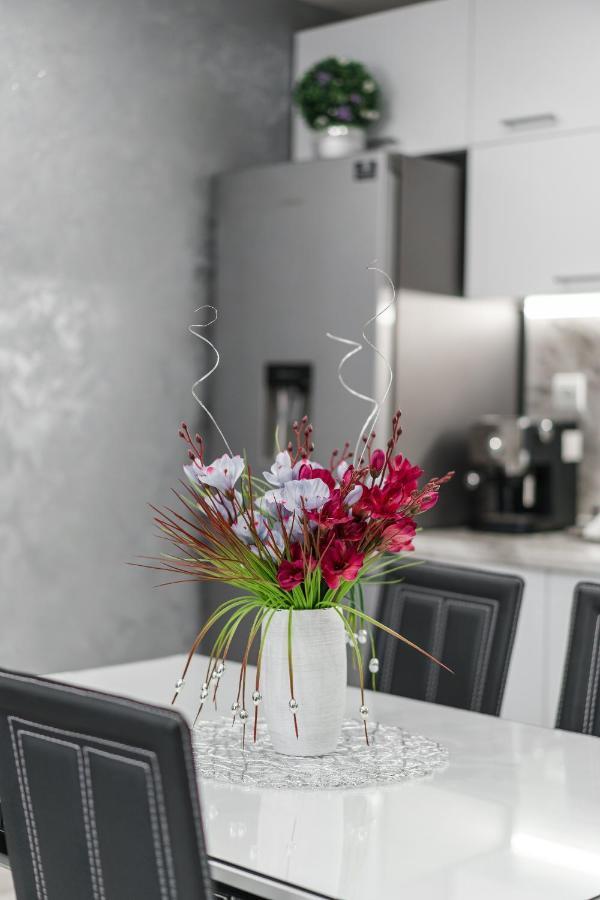 City Apartments - A Brand New Luxury & Comfy 2 Asenovgrad Dış mekan fotoğraf